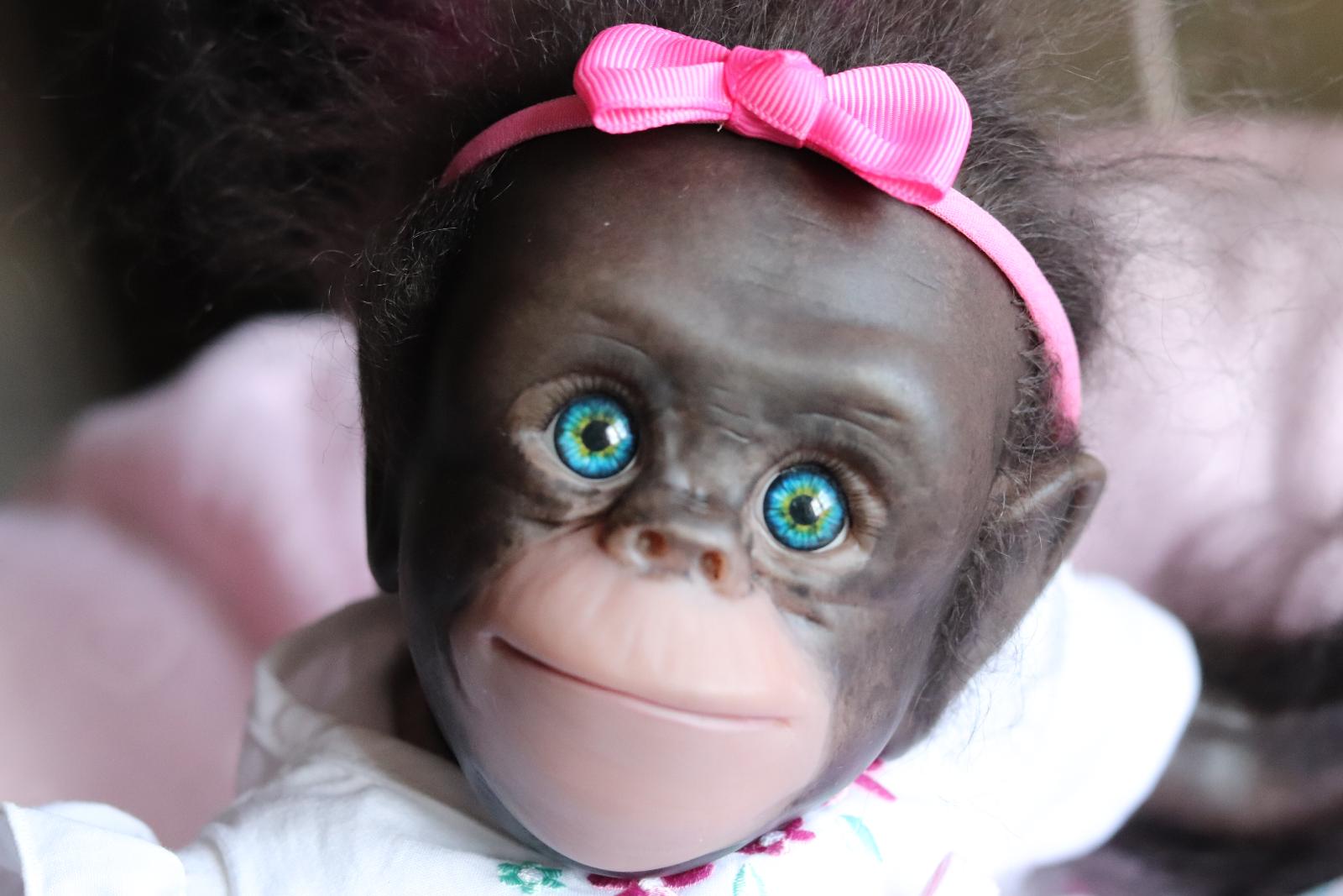reborn baby gorilla